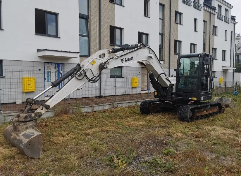 BOBCAT1