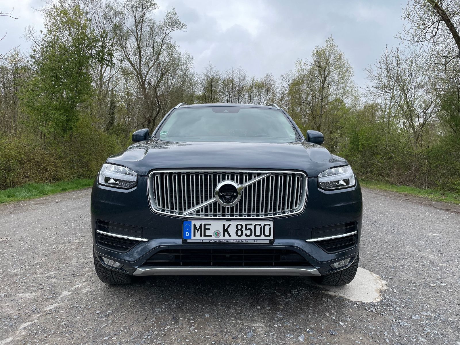 Image_volvoxc9002