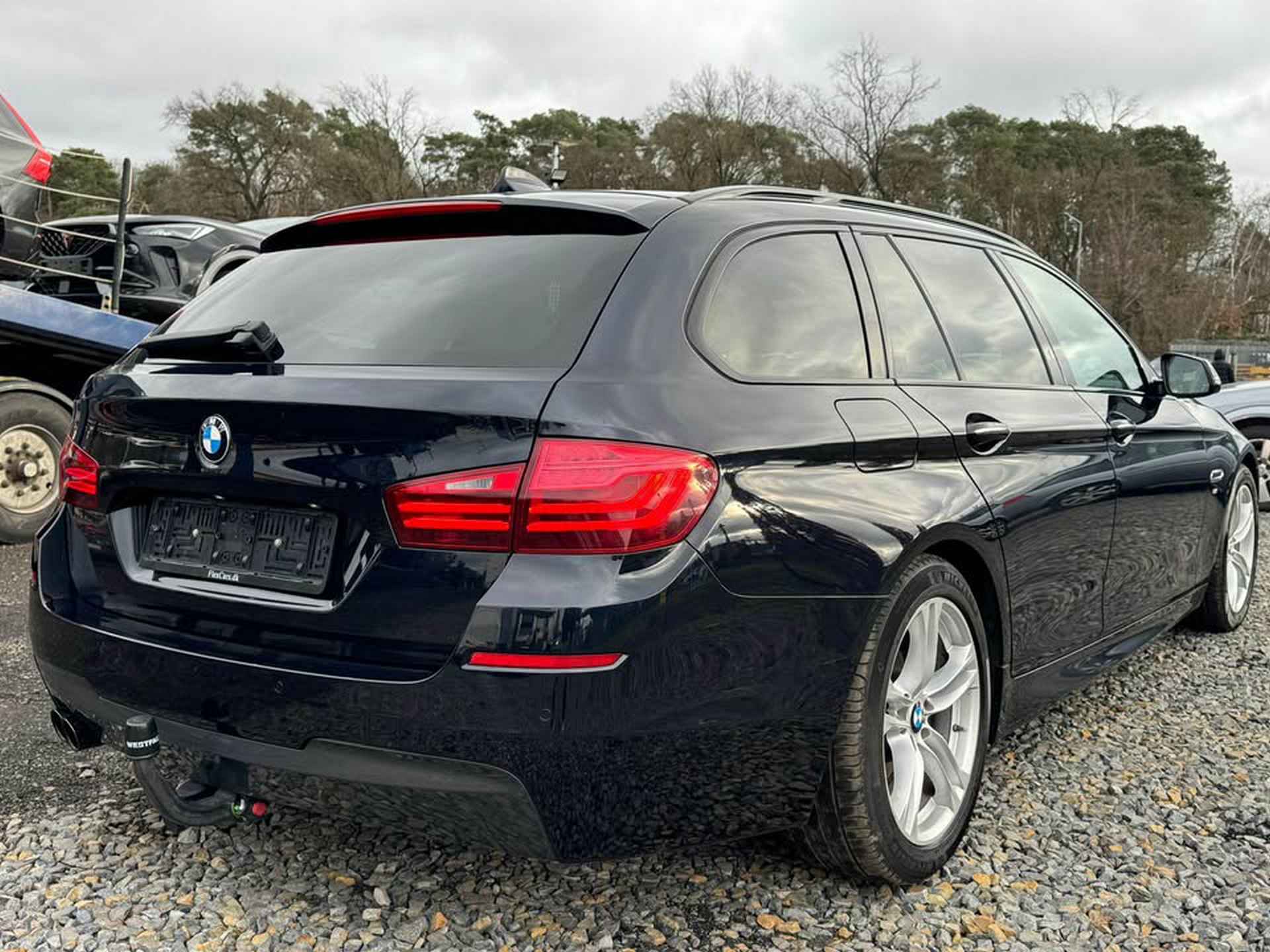 bmq7